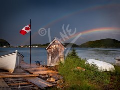 Little Bay Islands